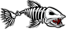 Fisk Skelett