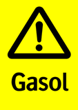 Gasol