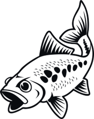 35556_view.png