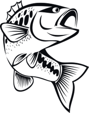 35558_view.png