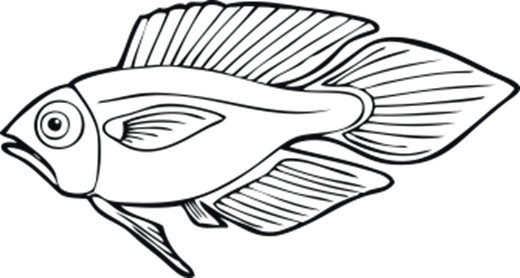 35565_view.png