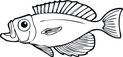 35566_view.png