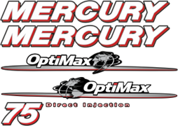 Mercury 75hk OptiMax