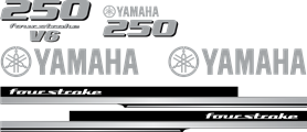 Yamaha 250hk V6