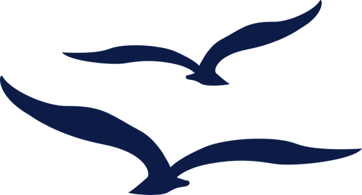 41951_view.png