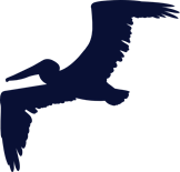 Fågel
