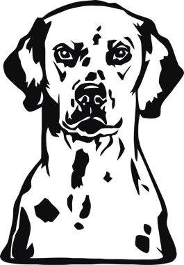 42645_view.png