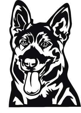 42649_view.png