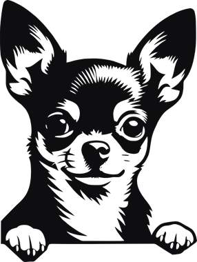 42666_view.png
