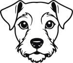 Hund