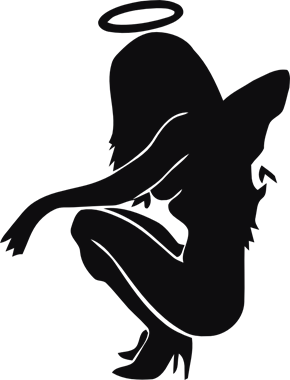 42767_view.png