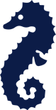 Seahorses