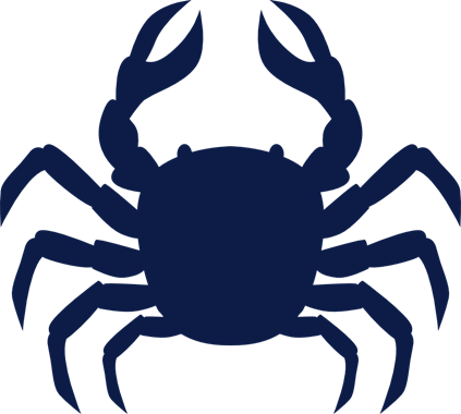 42809_view.png