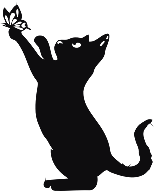43445_view.png