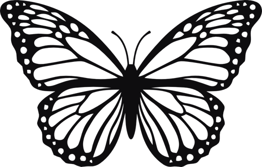 43674_view.png