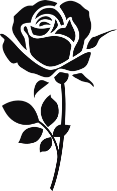 43696_view.png