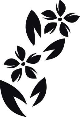 43702_view.png