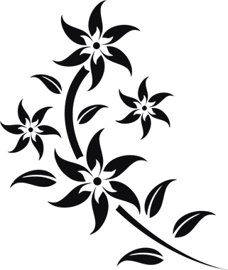 43704_view.png