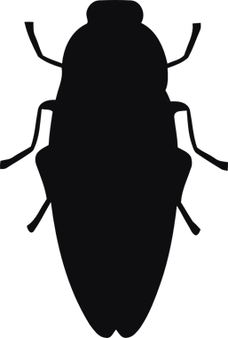43839_view.png
