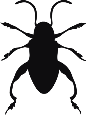 43841_view.png