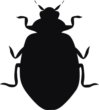 43842_view.png
