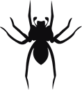 Spindel