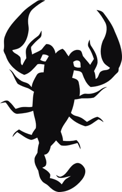 43845_view.png