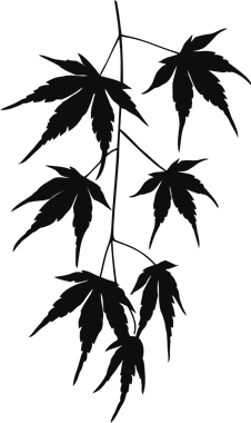 43898_view.png