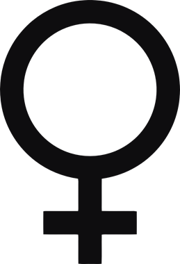 43906_view.png