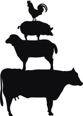 43960_view.png