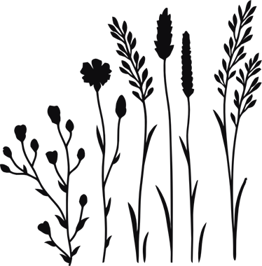 44028_view.png