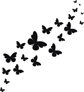 44187_view.png
