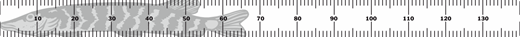 44211_view.png