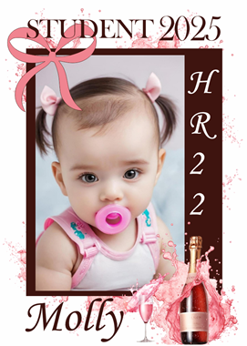 44251_view.png