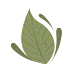 Blad