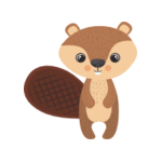Bäver