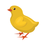 Kyckling
