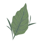 Löv