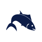 Fisk
