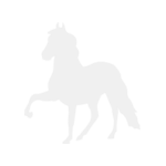 Häst1