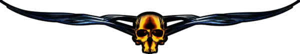 Kategoribild för Skull