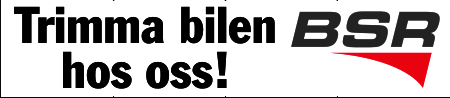 6000x1300 Valfri text. Banderoll av PVC-väv med öljetter.
