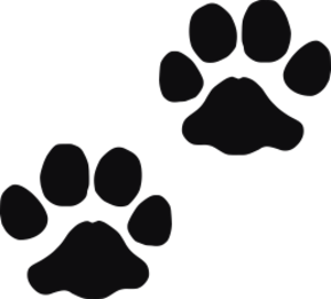 Storleken är för båda avtrycken räknat i en rektangel.