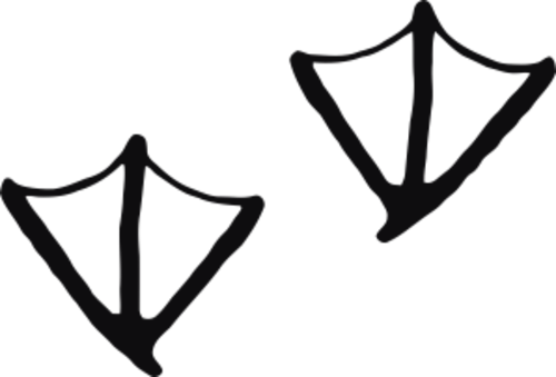 Storleken är för båda avtrycken räknat i en rektangel.