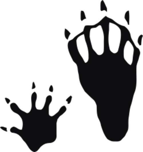 Storleken är för båda avtrycken räknat i en rektangel.