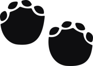 Storleken är för båda avtrycken räknat i en rektangel.