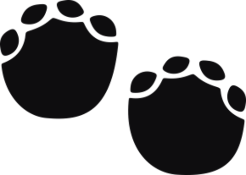 Storleken är för båda avtrycken räknat i en rektangel.