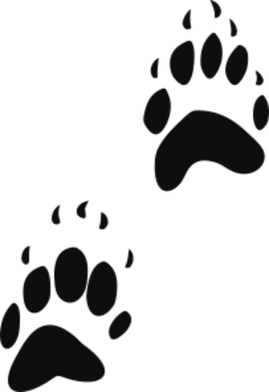 Storleken är för båda avtrycken räknat i en rektangel.