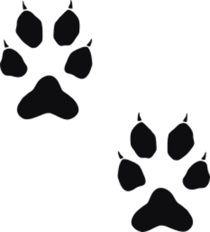 Storleken är för båda avtrycken räknat i en rektangel.