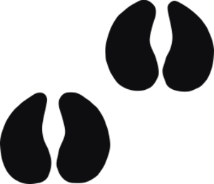 Storleken är för båda avtrycken räknat i en rektangel.